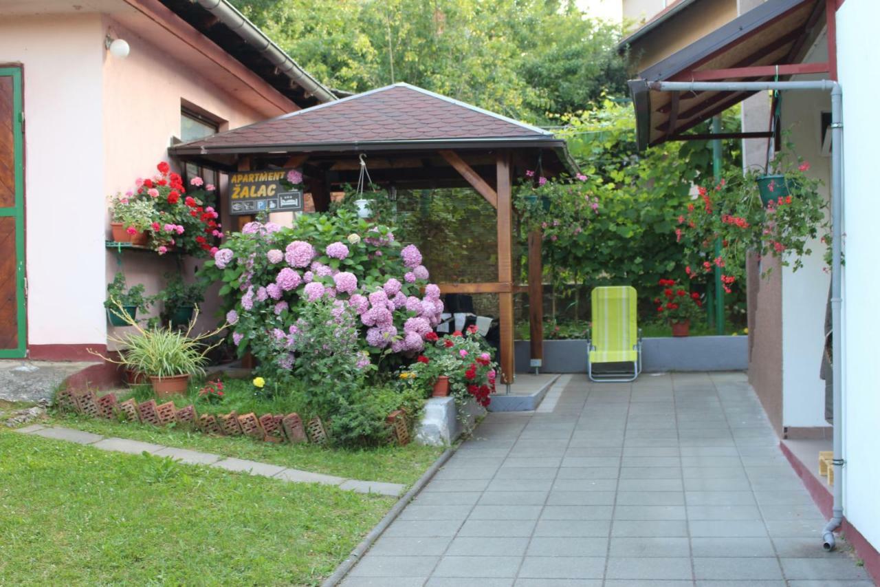 Apartment Zalac
